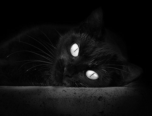 开云体育中国-当庖丁解牛的哲学照进现实，欧文的关键之道