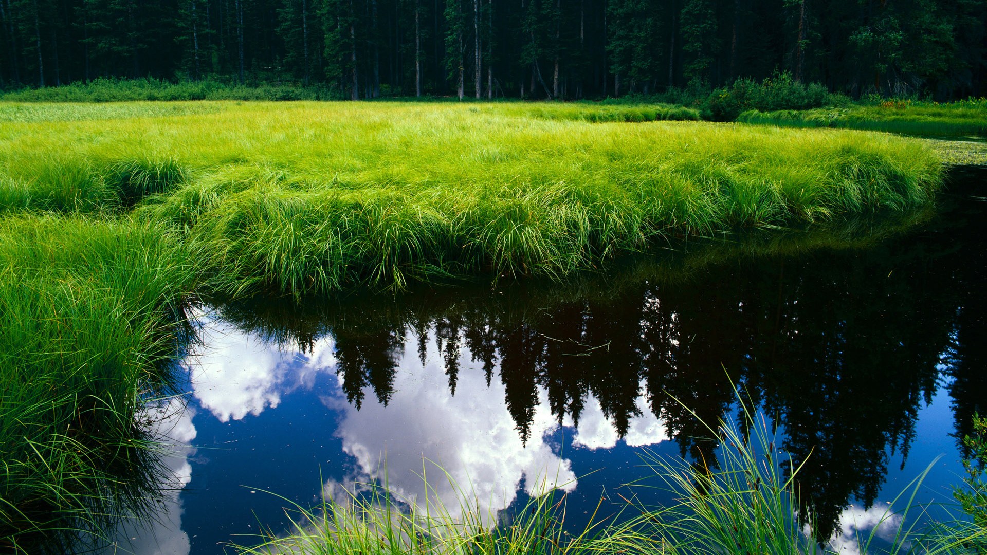 终局之战,马赛弯的闪电攻防,澳大利亚车手的街道赛悲歌