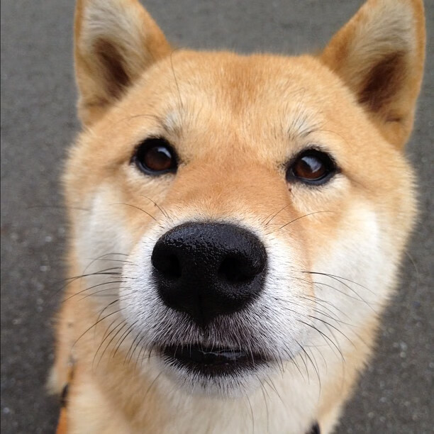 开云体育app-兵工厂闪电战！马丁内利两连击引爆法兰西，高卢雄鸡三分钟逆转三狮军团