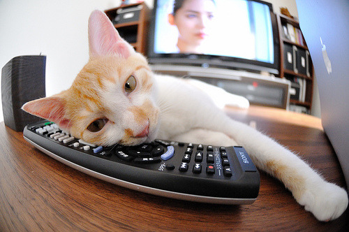 跨越篮球的疆界，当克莱的投篮弧线划破戈壁风沙