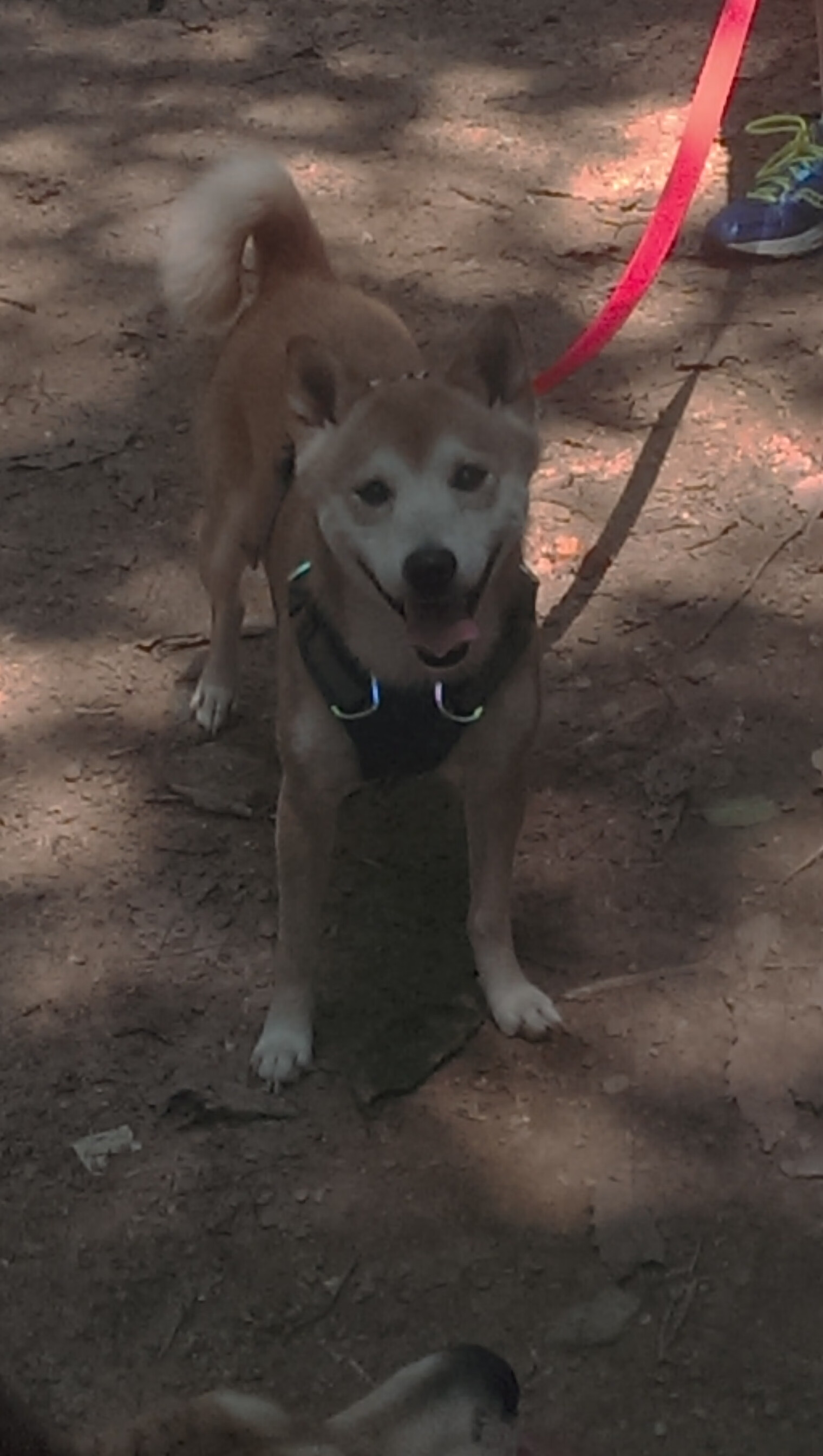 开云体育中国-当数据风暴吞噬现实，NBA季后赛惊现拉齐奥打穿摩洛哥之谜