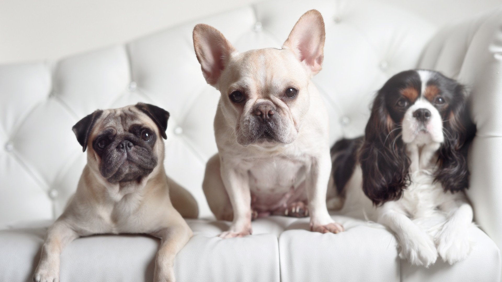 世界倾斜，从西北非海岸到里斯本舞台的距离