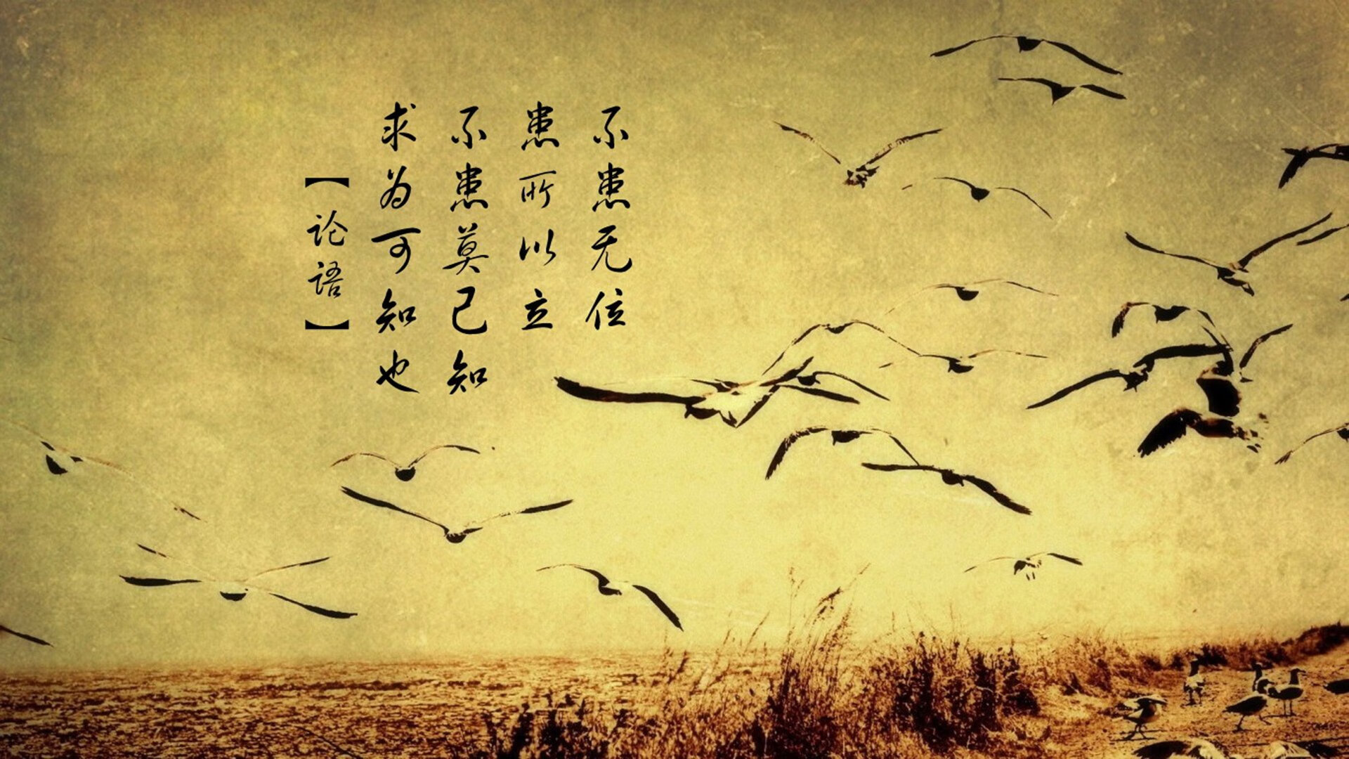 乔治的反高潮胜利，当稳定成为最锋利的刀刃