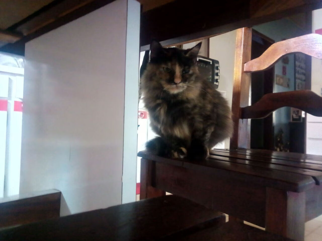 唯一破局者，当魔术天平倾斜，唯有班凯罗手持钥匙