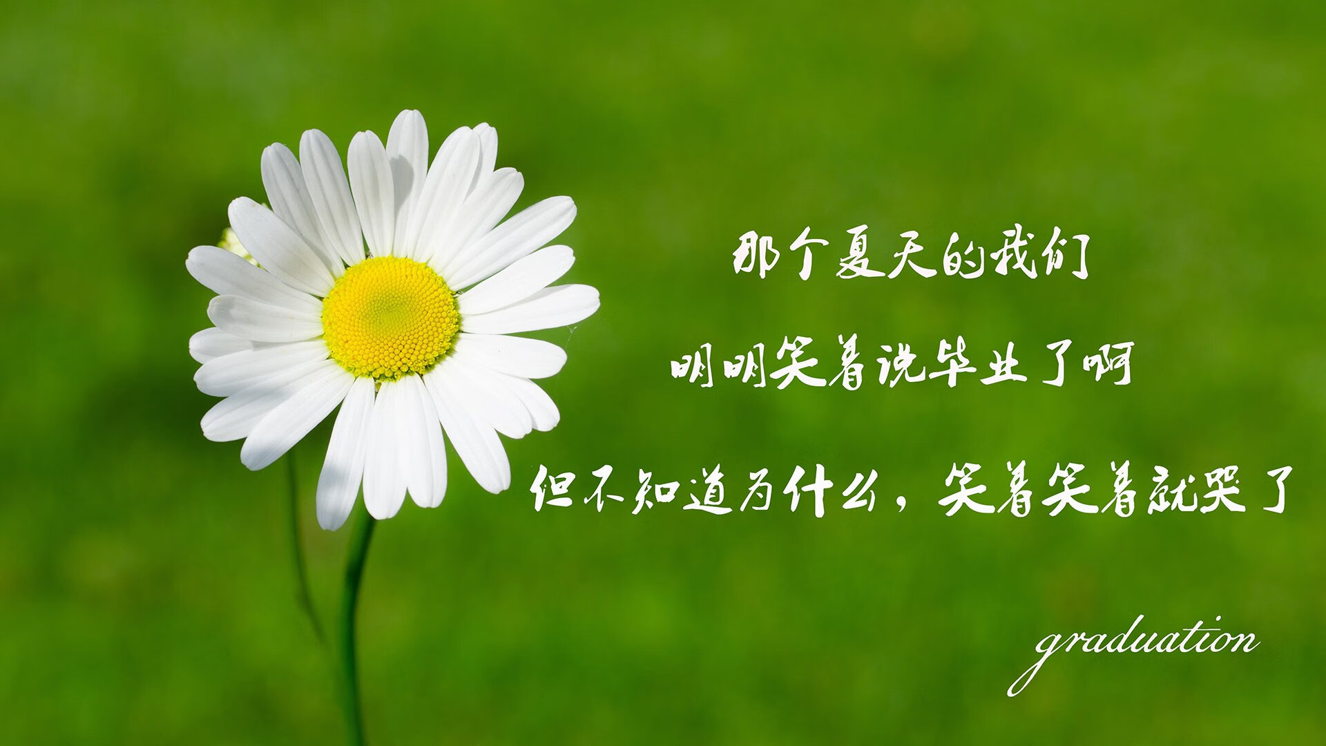 血色探戈,谁能狂舞?2026世界杯C组宿命对决,智利冰与火掀翻潘帕斯,B费独舞决定乾坤