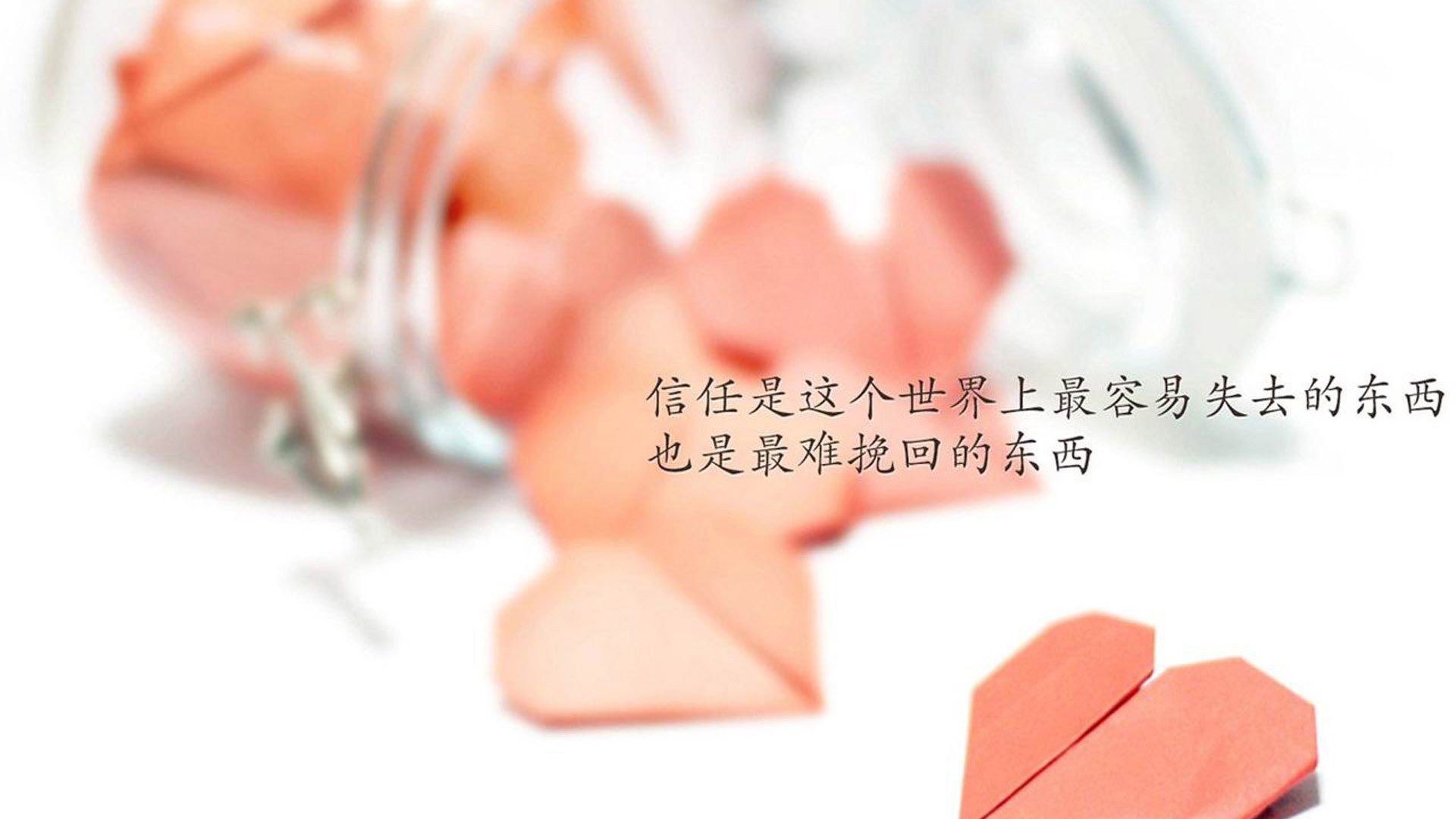 蓝武士狂想曲,当控球哲学遇上丁丁魔笛,2026世界杯D组的权力游戏